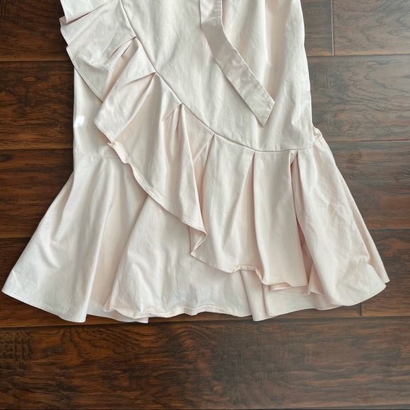 Antonio Melani Lori Blush Asymmetrical Midi Dress - Picture 5 of 5